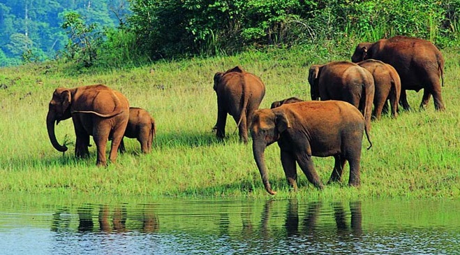 coimbatore to kodaikanal taxi